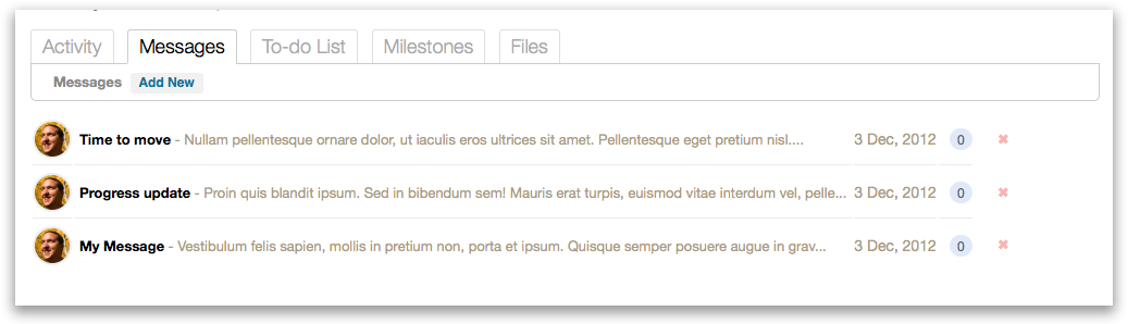 The project messages screen